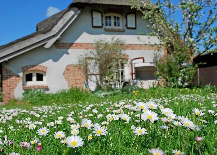 Unterm Reetdach Sellin (Rugen)